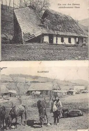 B069 Ukraine Slawsko Slavsko Russen Haus Bauernpferde 1916 1. Weltkrieg Feldpostkarte