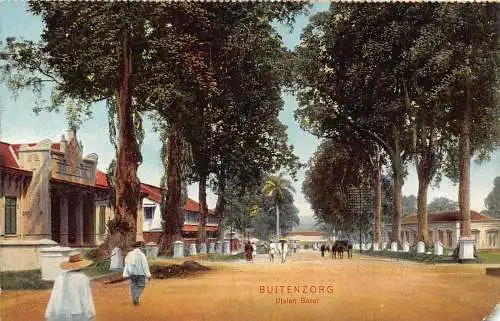 L228 Indonesien Niederländisch Ostindien Buitenzorg Djalan Besar Vintage Postkarte