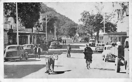 B078 Südafrika 1935 Knysna Street Fahrrad Apotheke Laden Löwin Postkarte