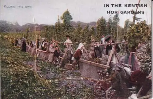 B081 Neuheit ausziehbare Bauern arbeiten Kentish Hopfengärten Füllbehälter Postkarte