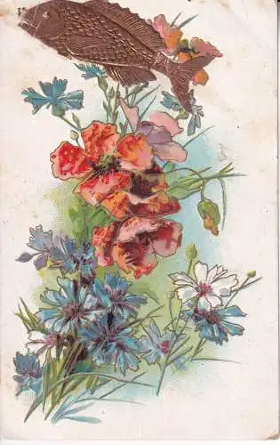 B082 Neuheit Aprilscherz 1906 Blumen Mohn geprägte Goldfische Postkarte