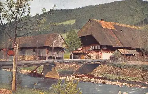 Schwarzwald Wald Landschaft Traditionelle Häuser Holzbrücke Vintage Postkarte