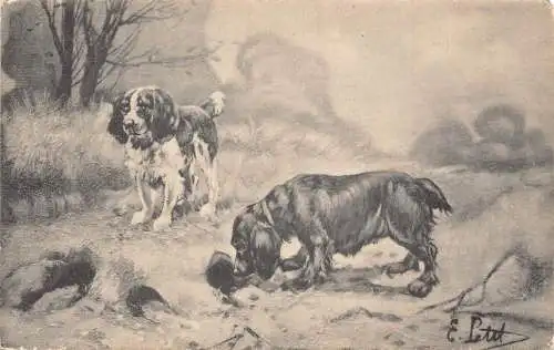 Kunstreise zweier Cocker Spaniel-Rassenhunde im Wald Vintage Postkarte