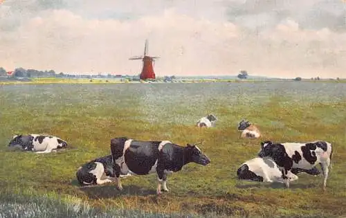 Steppenfeld Kuh Vieh liegend Windmühle Vintage Postkarte