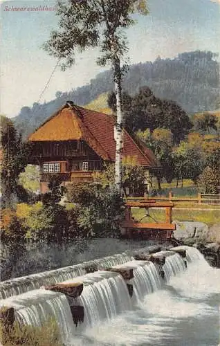 Wunderschöne Berglandschaft Schwarzwaldhaus Fluss Wasserfall Postkarte