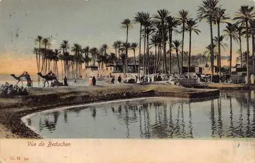 L035 Ägypten 1906 Oase Kamele Beduinendorf Vintage Postkarte