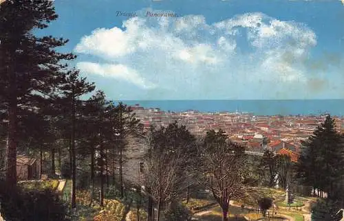 L035 Italien Triest Panorama Vintage Postkarte