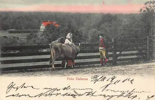 L033 Schweden 1904 aus Dalarna Trachten Kuh Vintage Postkarte