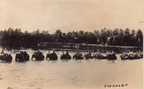 L410 Singapur Tanjong Pagar Elefanten überqueren Fluss Echtfoto Postkarte
