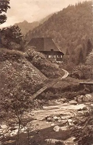 L217 Deutschland Schwarzwald Motiv bei Niederwasser Triberg Vintage Postkarte