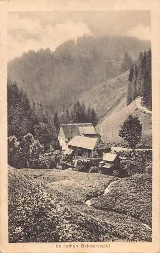 L217 Deutschland Im Hohen Schwarzwald Häuser Berge Vintage Postkarte