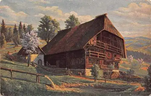 B091 Deutschland 1917 Schwarzwaldhaus im Frühjahr 1. Weltkrieg Feldpostkarte