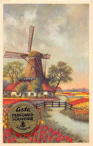 Parfümierte Souvenir Hyazinthe Blumen Tulpen Landschaft Windmühle Vintage Postkarte