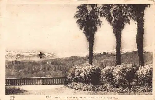 Frankreich Pau Le Boulevard et Chaine des Pyrenees Palmen Postkarte
