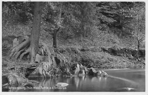Deutschland 1930 Schwarzburg Thür Wald Partie ad Schwarza RPPC Vintage Postkarte