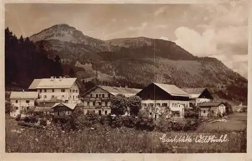Österreich Gastaette Wildbichl Pension Gästehaus Vintage Postkarte