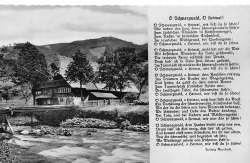 Deutschland O Schwarzwald O Heimat Gedicht Traditionelles Haus Vintage Postkarte