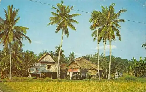 Malaysia Nalay Kampong Häuser Penang Vintage Postkarte