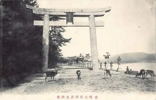 Japan Itsukushima Jinja Schrein Hirsch Vintage Postkarte