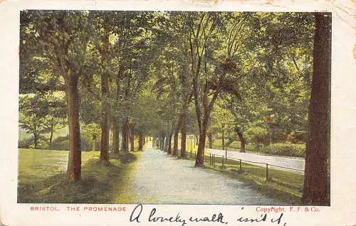 England 1906 Bristol The Promenade Trees Vintage Postkarte