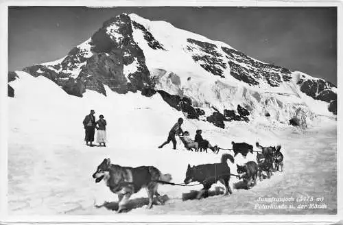 Schweiz Polarhunde Schlitten Polarhunde Jungfraujoch Berg Schnee RPPC Postkarte