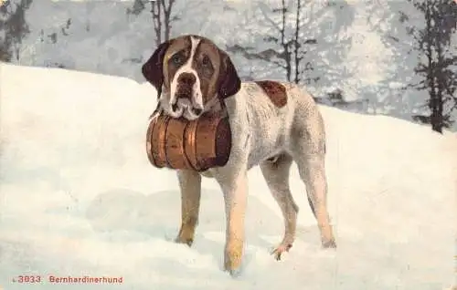 Tiere Bernhardiner Hund Pflege Fass im Schnee Vintage Postkarte