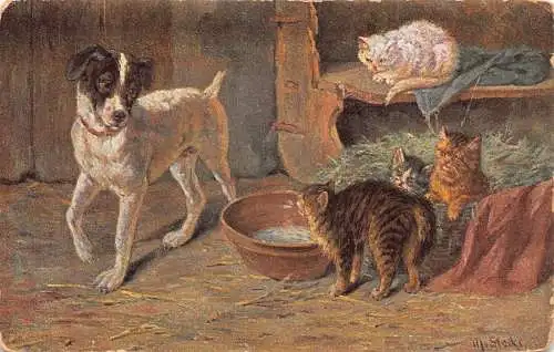 Kunst 1904 Tiere Familie von Katzen und Hund in Scheune Vintage Postkarte
