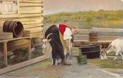 Tiere Bauernmädchen Melken Ziegen Eimer Bauernhof Vintage Postkarte