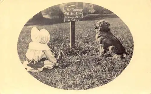 Postkarte Passepartout Unschuldiger Eindringling in Erddig 1910 Baby Mädchen und Hund