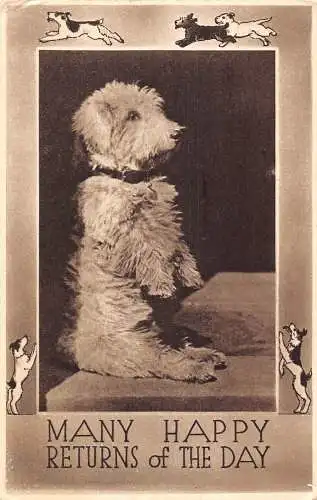 Glücksgrüße Irish Terrier Hund auf zwei Beinen stehend Vintage Postkarte