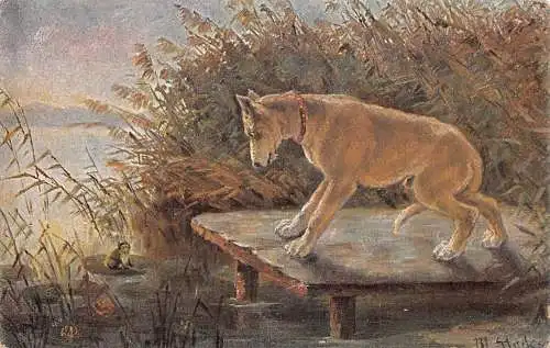 Kunst Wolfshund Hund erschreckt von Frosch aus dem Teich Vintage Postkarte