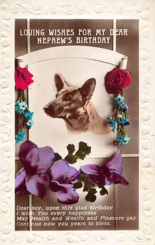 Geburtstagsgrüße Koolie Hund Rosen Vergissmeinnicht geprägte RPPC Postkarte