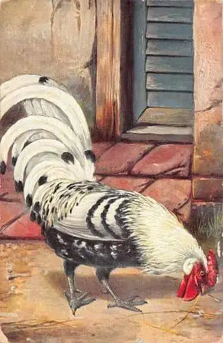 Tiere Vögel Hahn essen Heu Kunst Vintage Postkarte