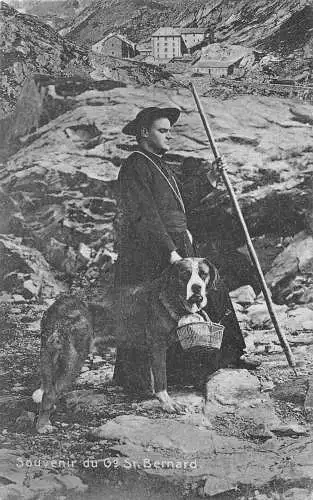 Souvenir du Bernhardiner Hund Pflege Korb Mönch 1908 Vintage Postkarte