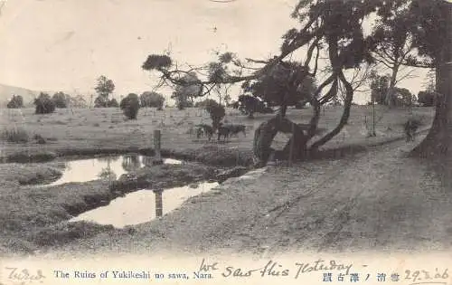 Japan 1906 Ruinen von Yukikeshi no sawa Nara Vintage Postkarte