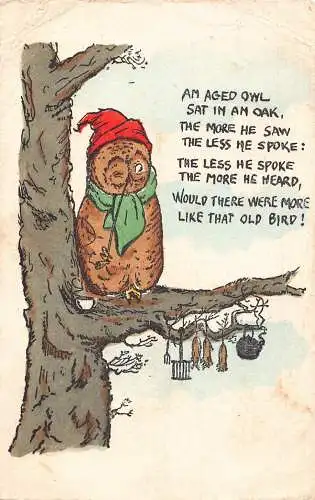 Comic Humor 1920 Humanisierte alte Eule im Baum mit Küchenutensilien Postkarte