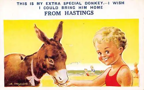 Comic Humor Beach Boy füttert extra besonderen Esel von Hastings Postkarte