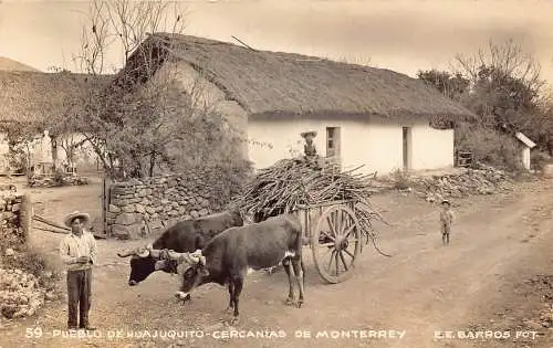 Mexiko Pueblo de Huajuquito Cercanias de Monterrey Ochsenwagen RPPC Postkarte
