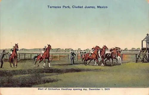 Mexiko Terrazas Park Ciudad Juárez Start von Chihuahua Behinderten Pferde Postkarte