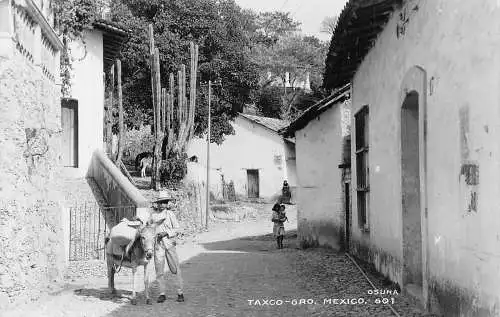 Mexiko Taxco Junge und Esel Kaktus RPPC Vintage Postkarte