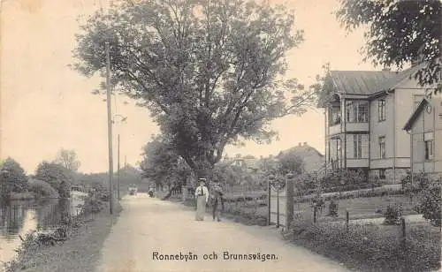 Schweden Ronnebyan och Brunnsvagen Paar Vintage Postkarte