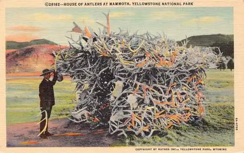 US House of Antlers at Mammoth Yellowstone Park Vintage Postkarte