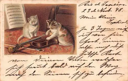 Brasilien Rio de Janeiro 1898 Katzen spielen Geige Instrument Vintage Postkarte