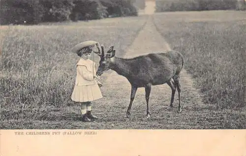 Niedliche Tiere 1903 Baby Mädchen streichelt Damhirsch die Kinder Haustier Postkarte