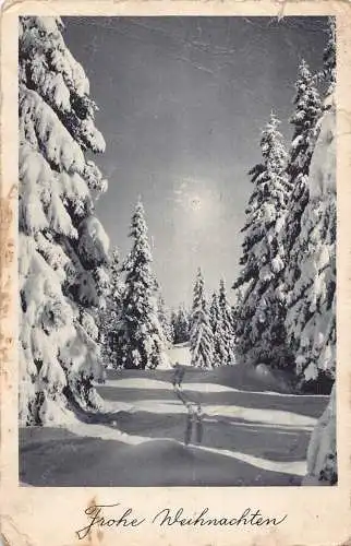 B093 Weihnachtsgrüße Winteransicht verschneite Tannen Vintage Postkarte