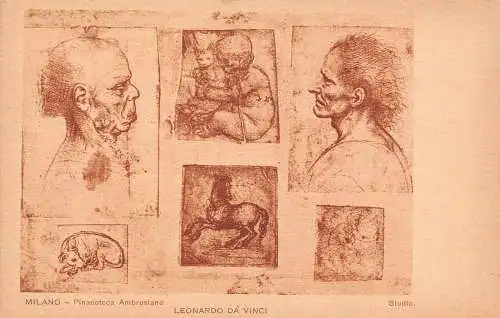 B094 Pinacoteca Ambrosiana Milano Leonardo Da Vinci Kunst Männer Pferd Hund Postkarte