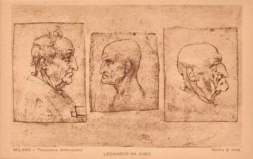 B094 Pinacoteca Ambrosiana Milano Leonardo Da Vinci Studio Test Kunst Postkarte