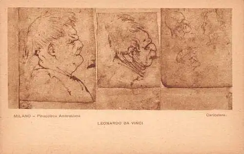 B094 Pinacoteca Ambrosiana Milano Leonardo Da Vinci Mann Karikaturen Postkarte
