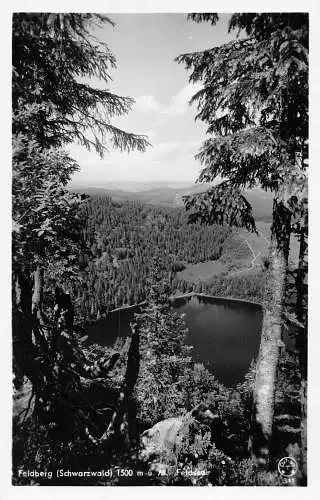B095 Deutschland Feldberg Schwarzwald Felsed RPPC Vintage Postkarte