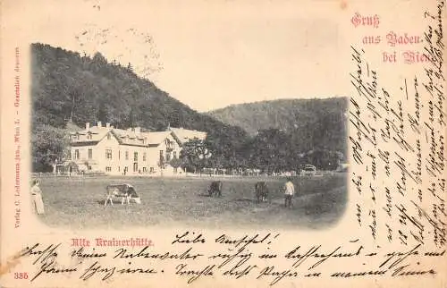 Österreich 1896 Gruss aus Baden bei Wien Alte Krainerhütte Rinder Vintage Postkarte